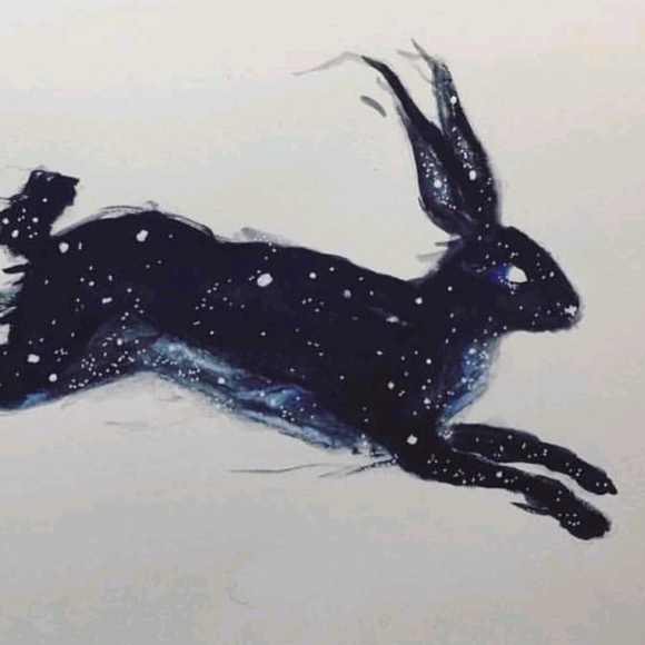 Meet your Posher, Kayden - Picture 1 of 1